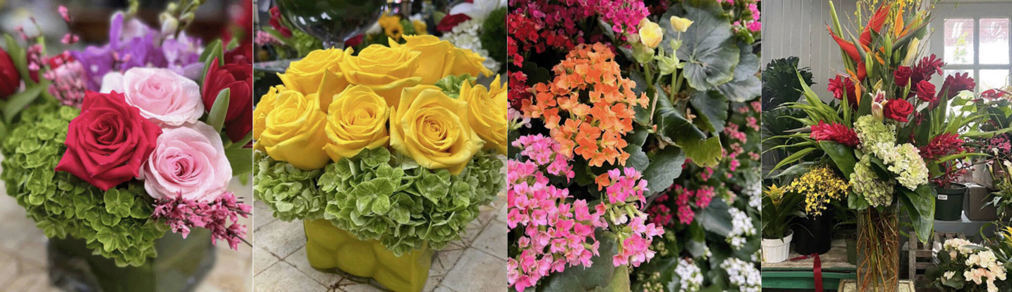 ROPH-Everyday-Mock-Up-2025-Image-Banner-2048x592