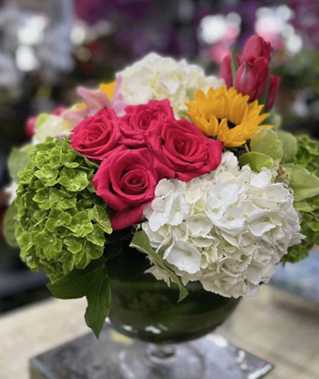 ROPH-Everyday-Mock-Up-2025-Image