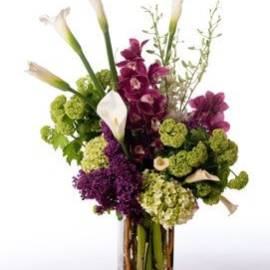 Au-Naturale-270x270 Au-Naturale-270x270