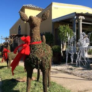 ChristmasDeerTopiary