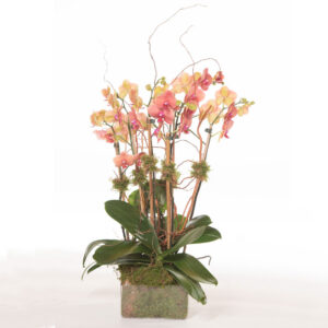 Colored-Orchids-Glass-2