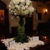 DSC_5546-copy-170x170