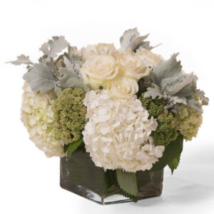 Dusty-White-1024x1024