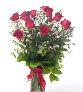 LongStemEcuadorianDozenRoses