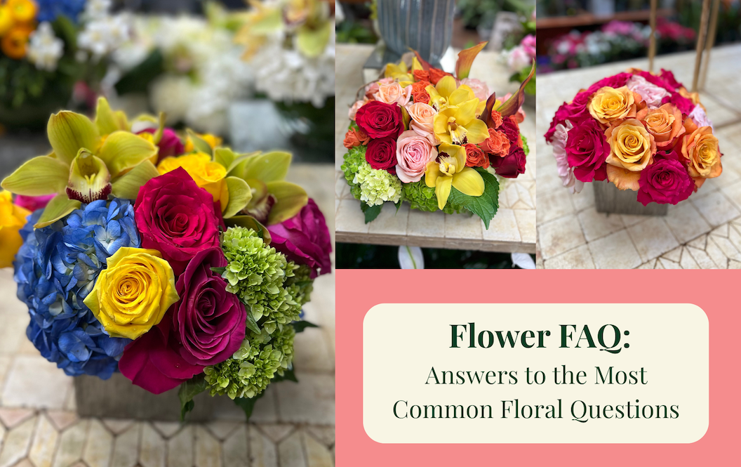 Flower FAQ: Answers to the Most Common Floral Questions
