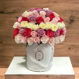 Roses-270x270 Roses-270x270