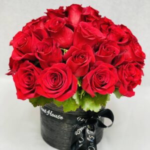 Splendor-of-Roses_200-scaled