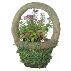 basket_topiary-houston