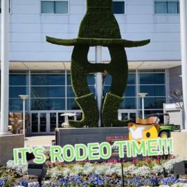 thumbnail_IMG_4620-270x270