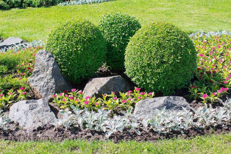 topiary-garden-backyard-800x534 topiary-garden-backyard-800x534